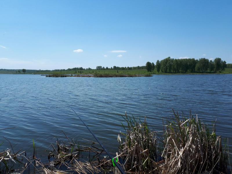 Прикрепленное изображение