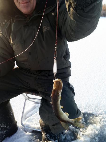 Прикрепленное изображение