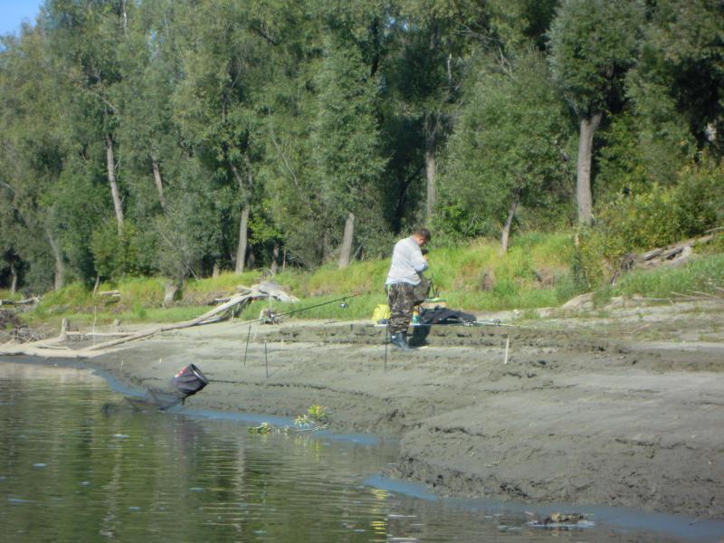 Прикрепленное изображение