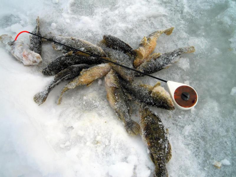 Прикрепленное изображение