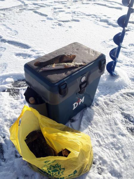 Прикрепленное изображение