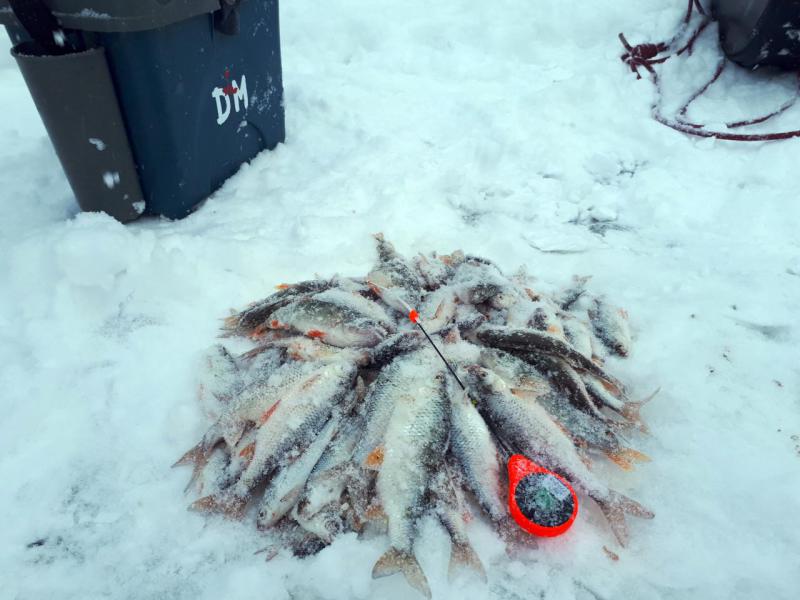 Прикрепленное изображение