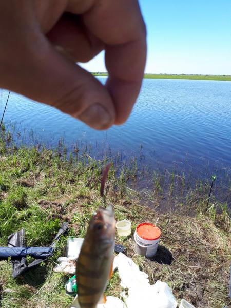 Прикрепленное изображение