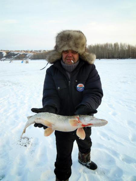 Прикрепленное изображение