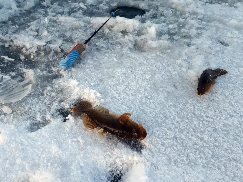 Прикрепленное изображение