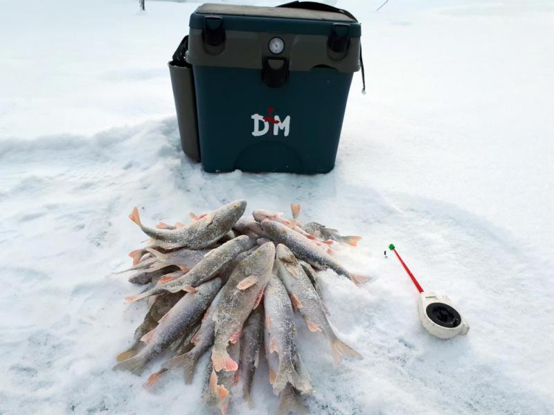 Прикрепленное изображение
