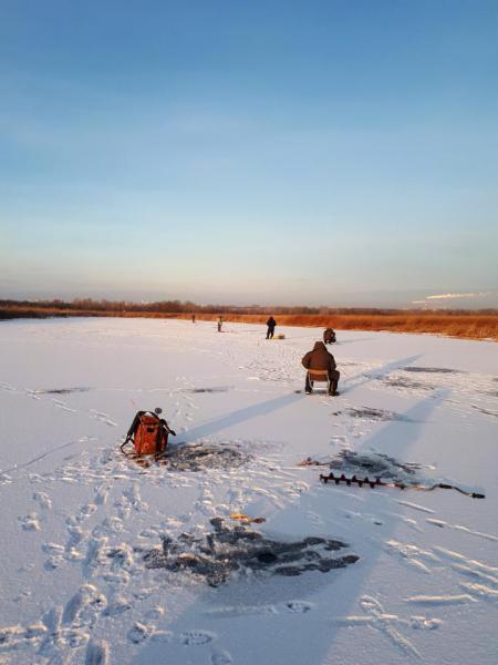 Прикрепленное изображение