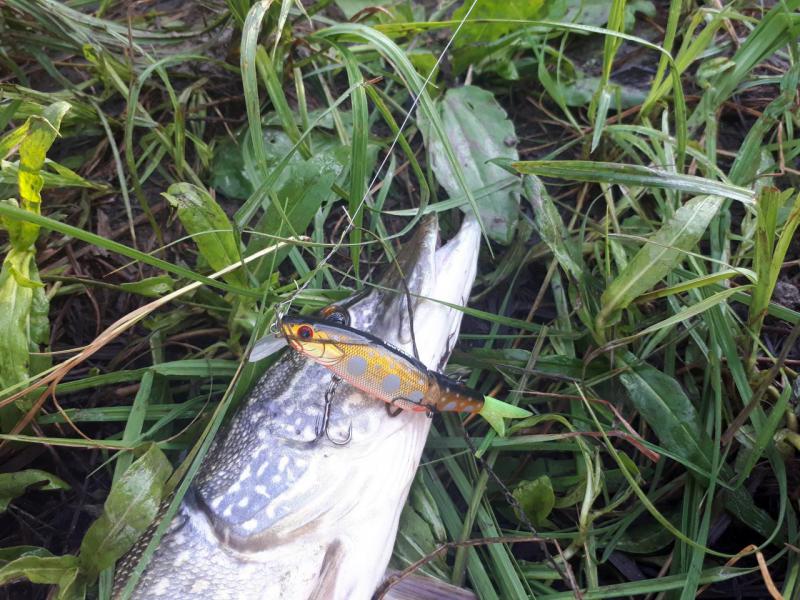 Прикрепленное изображение