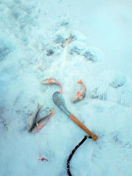 Прикрепленное изображение