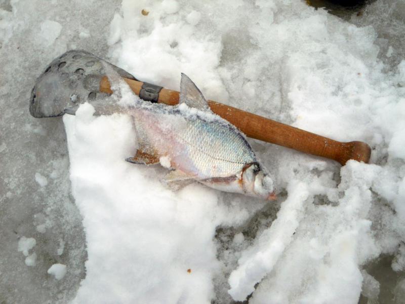 Прикрепленное изображение