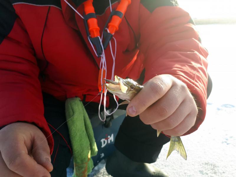 Прикрепленное изображение