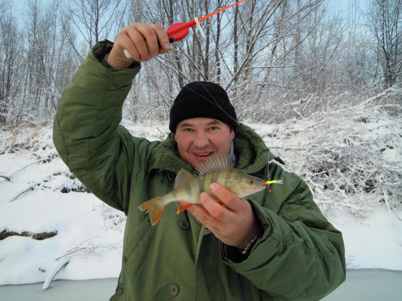Прикрепленное изображение