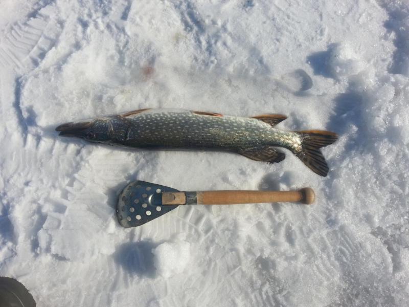 Прикрепленное изображение