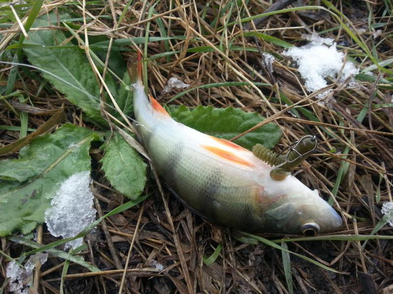 Прикрепленное изображение