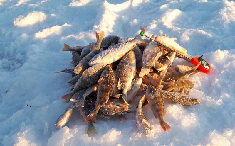 Прикрепленное изображение