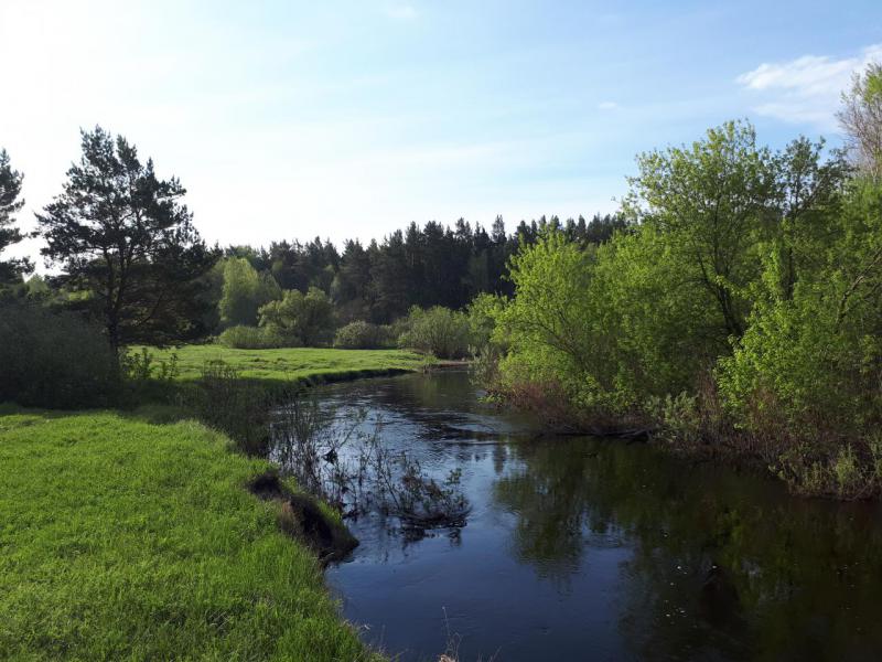 Прикрепленное изображение