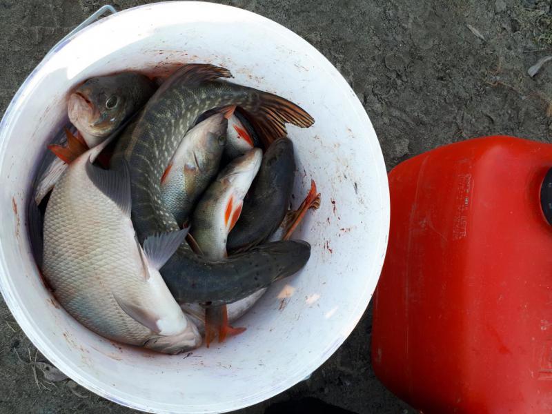 Прикрепленное изображение