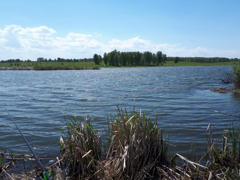 Прикрепленное изображение