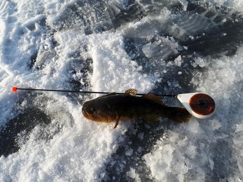 Прикрепленное изображение