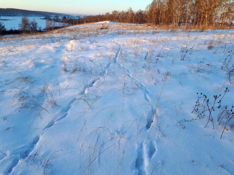 Прикрепленное изображение