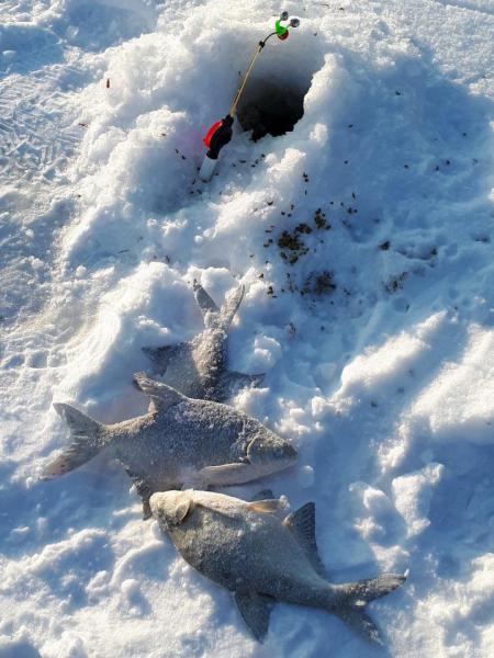 Прикрепленное изображение