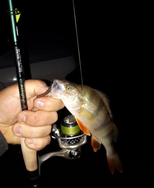 Прикрепленное изображение