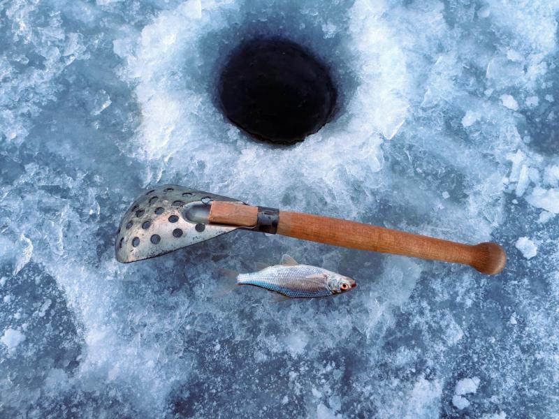 Прикрепленное изображение