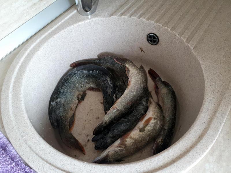 Прикрепленное изображение