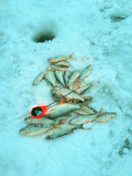 Прикрепленное изображение