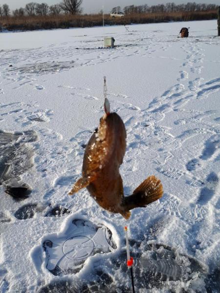 Прикрепленное изображение