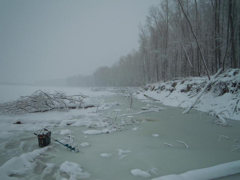 Прикрепленное изображение
