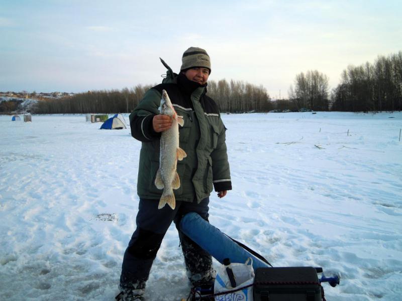 Прикрепленное изображение