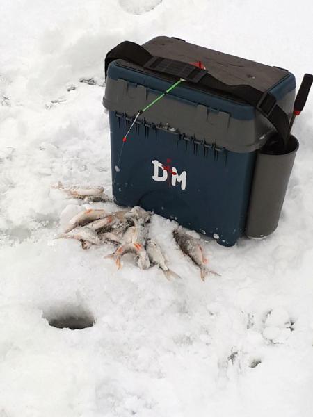 Прикрепленное изображение