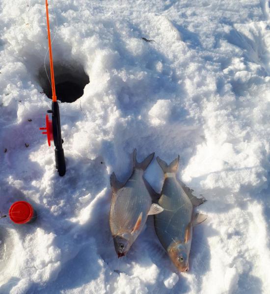 Прикрепленное изображение