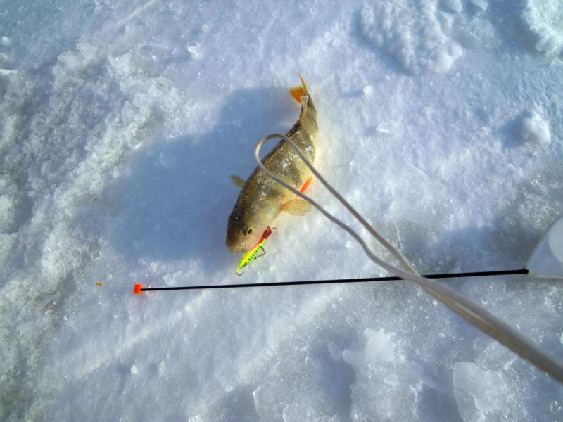 Прикрепленное изображение