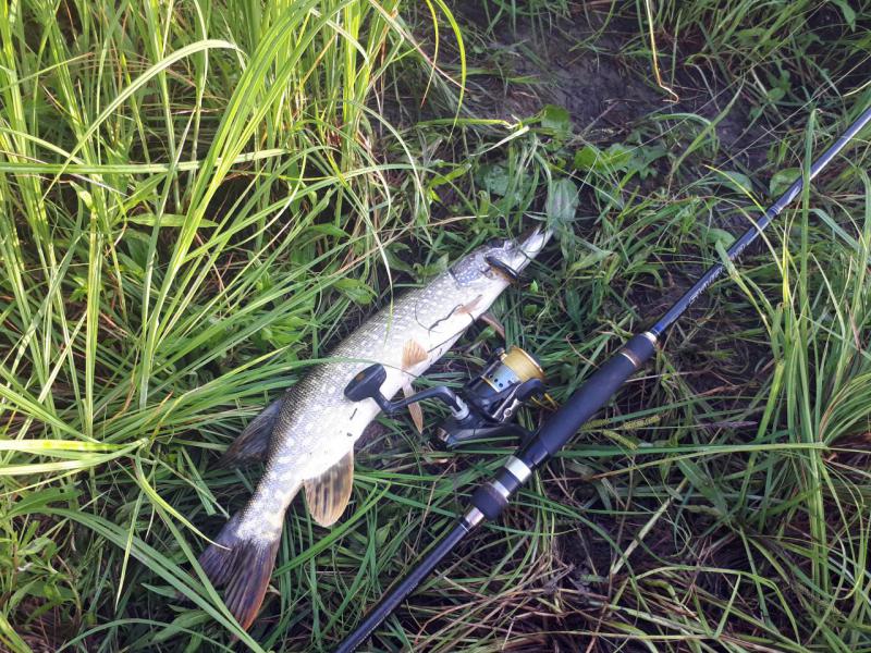 Прикрепленное изображение