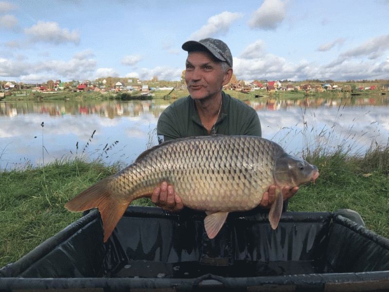 Прикрепленное изображение