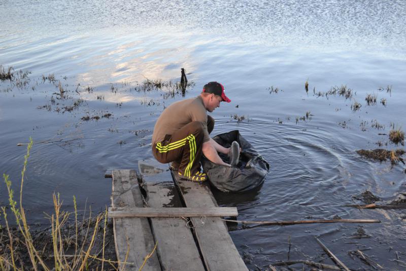 Прикрепленное изображение