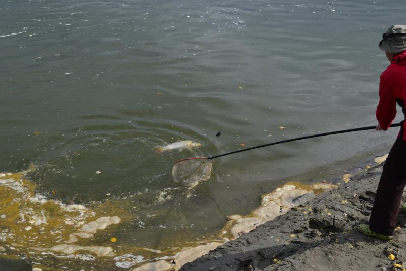 Прикрепленное изображение