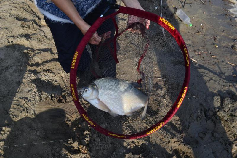 Прикрепленное изображение