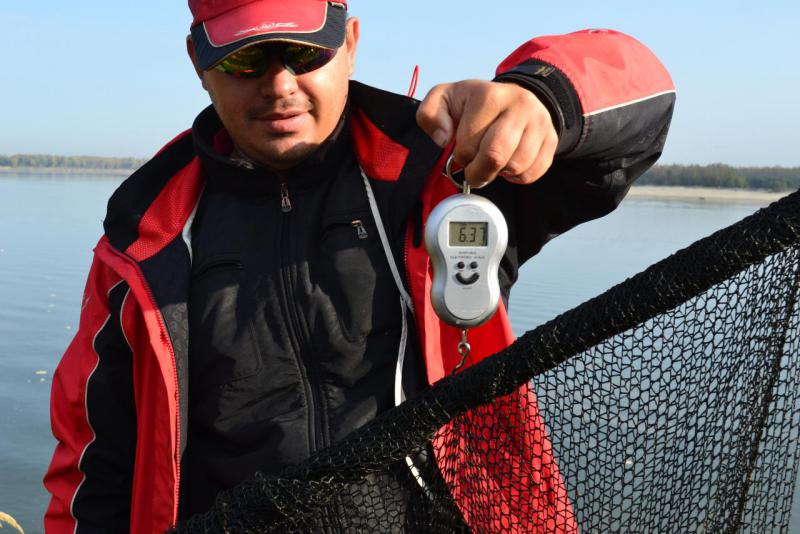 Прикрепленное изображение