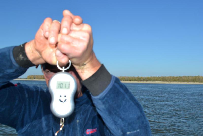 Прикрепленное изображение