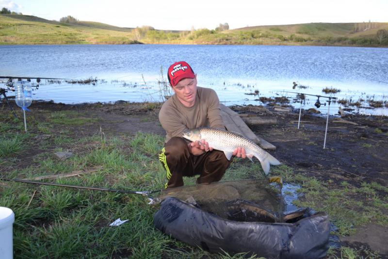 Прикрепленное изображение