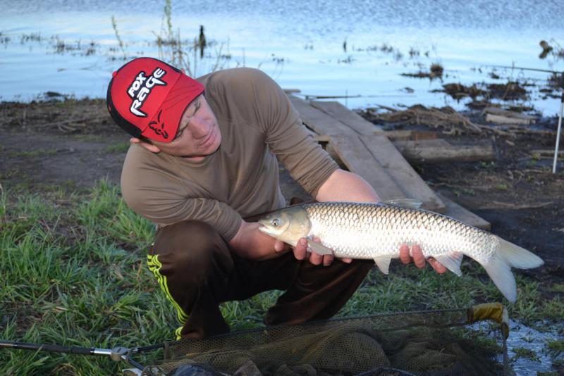 Прикрепленное изображение