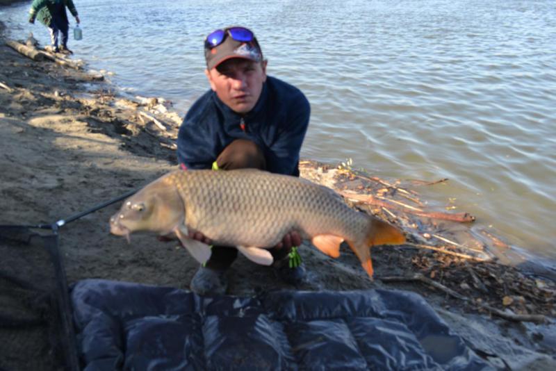 Прикрепленное изображение