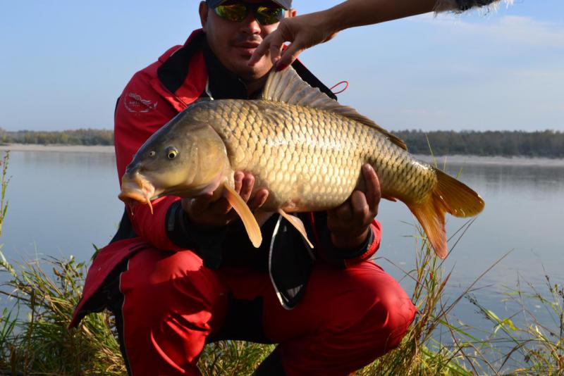 Прикрепленное изображение