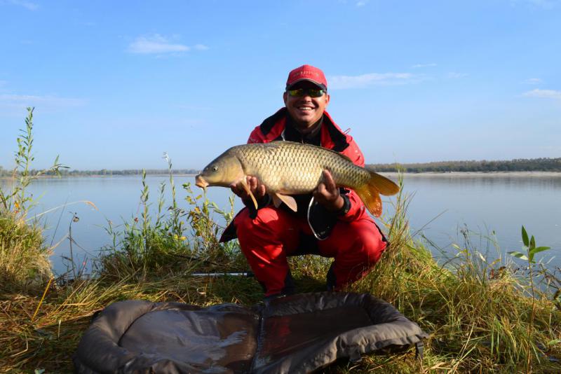 Прикрепленное изображение