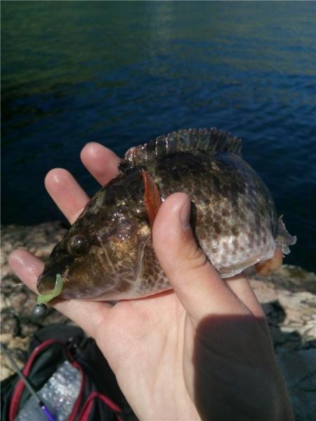 Прикрепленное изображение