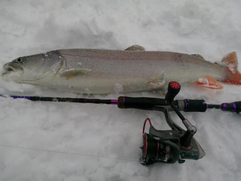 Прикрепленное изображение