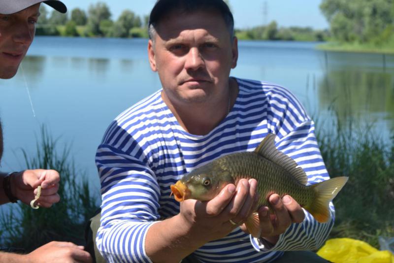 Прикрепленное изображение